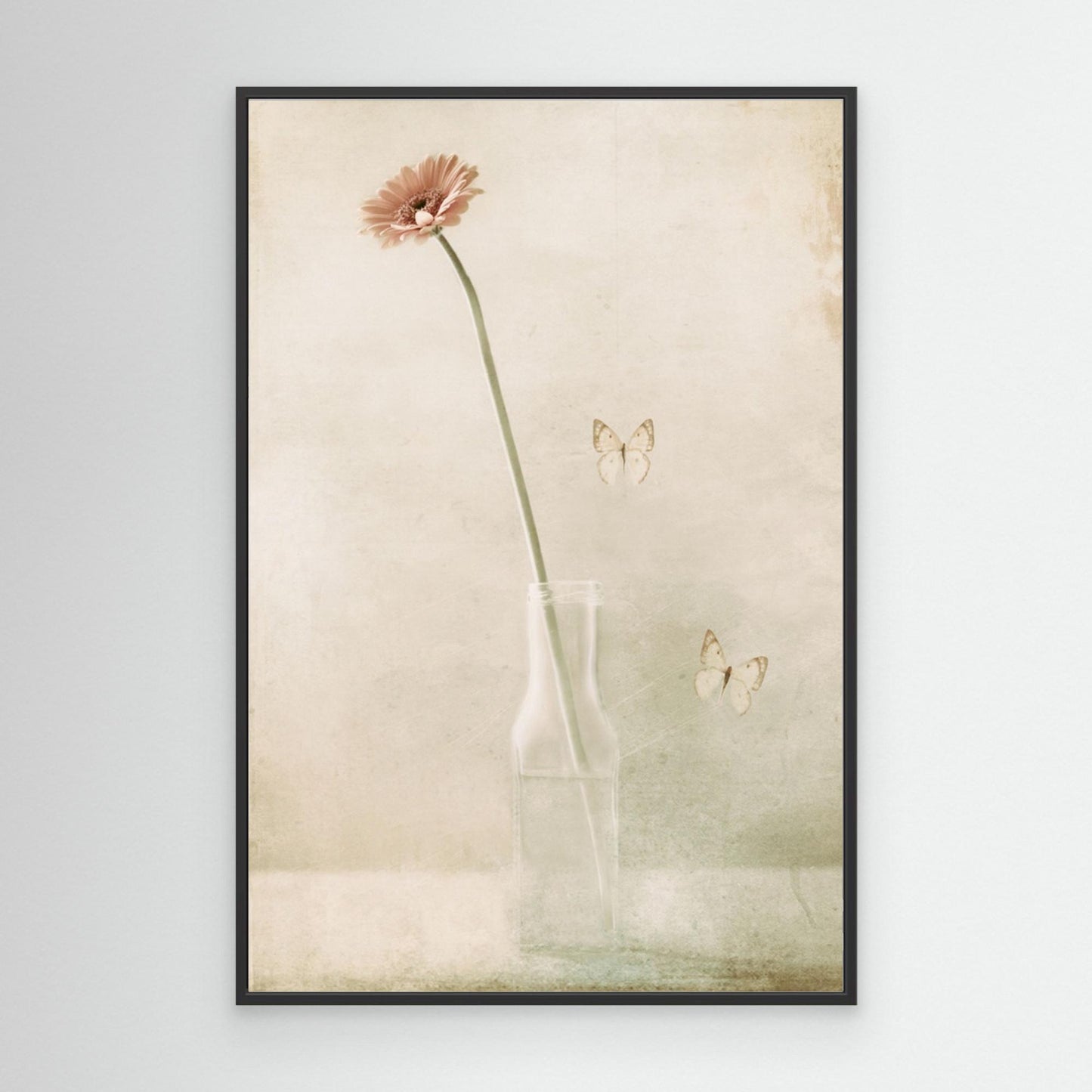 Miss Daisy by Delphine Devos