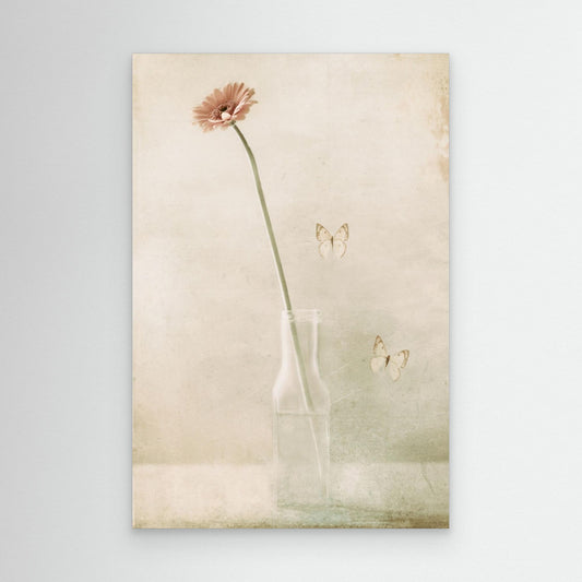 Miss Daisy by Delphine Devos