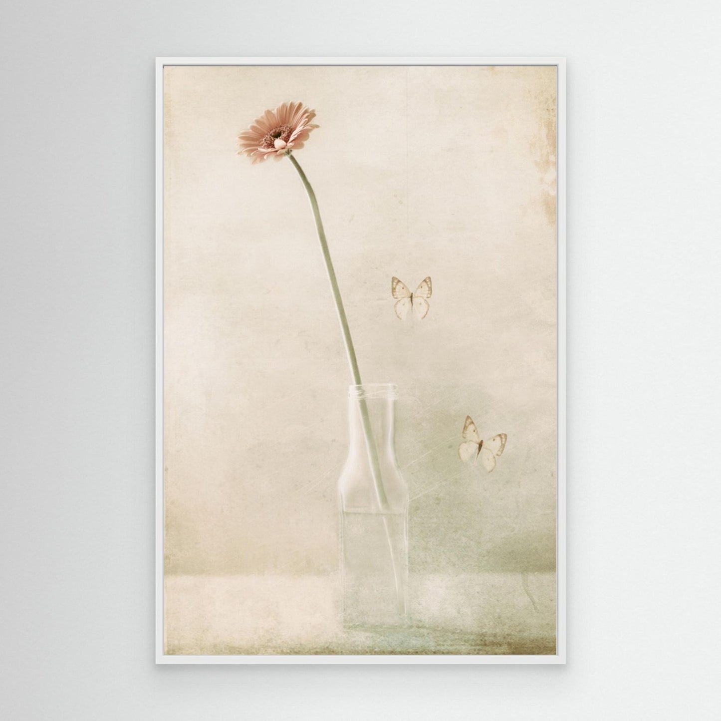 Miss Daisy by Delphine Devos